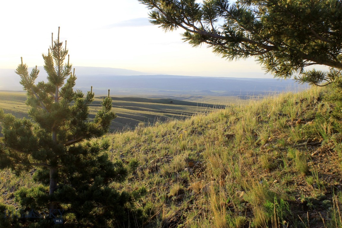 947-7 Freedom Property Photo 2