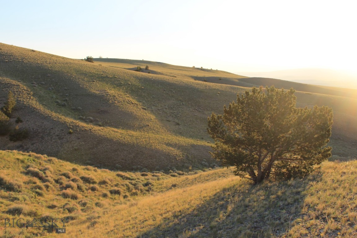 947-7 Freedom Property Photo 3