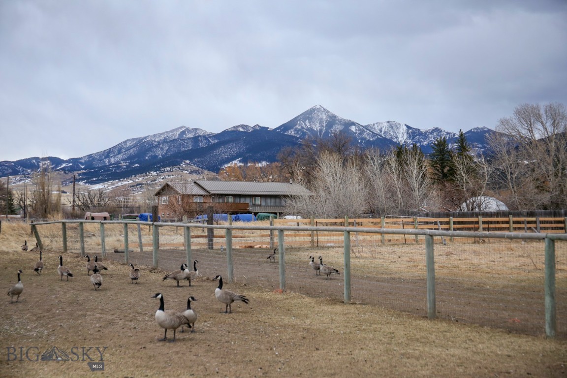 98 Miller Drive Property Photo 49