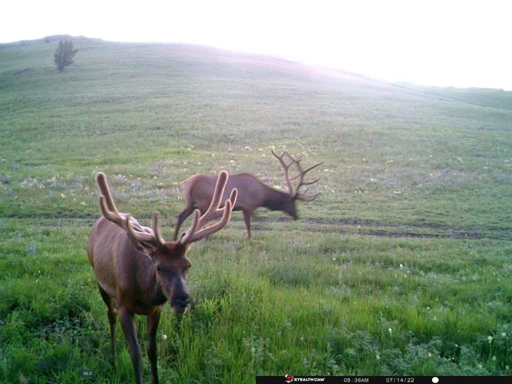 Tbd Indian Creek Road Property Photo