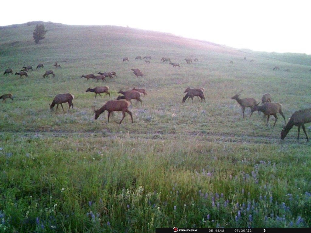 Tbd Indian Creek Road Property Photo 19