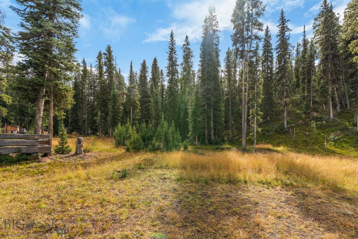 708 Us Highway 212 W Property Photo 54
