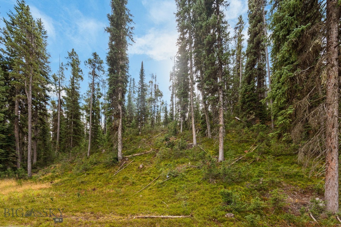 708 Us Highway 212 W Property Photo 63