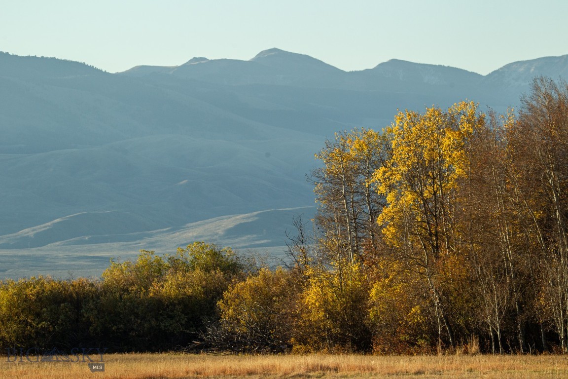 3007 Coyote Creek Property Photo 7