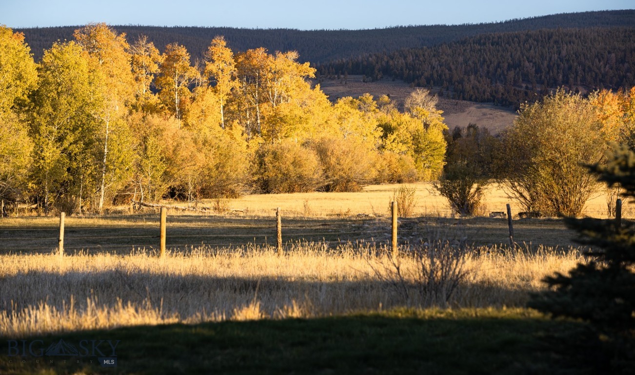 3007 Coyote Creek Property Photo 41