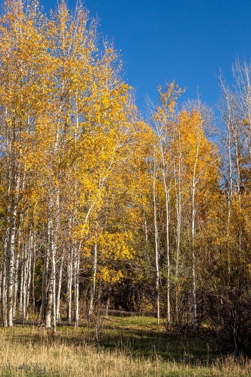 3007 Coyote Creek Property Photo 44