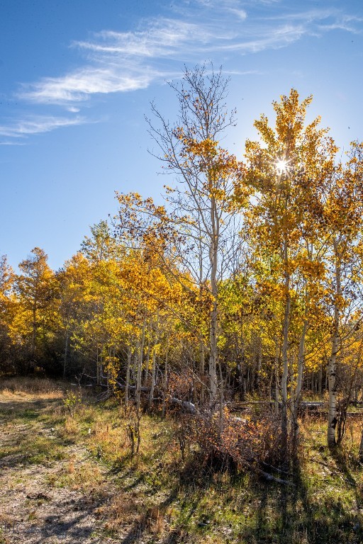 3007 Coyote Creek Property Photo 45