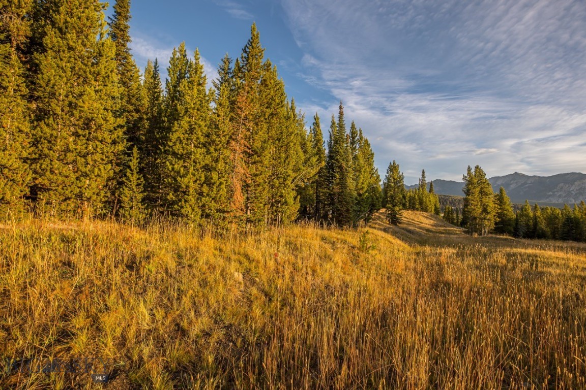 Tbd Eagle View, Lot 76 Trail Property Photo 8