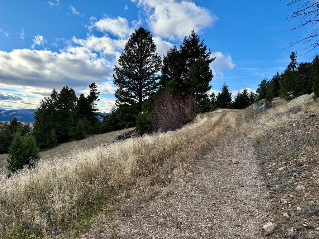 Lot 1 Scranton Lode Property Photo 3