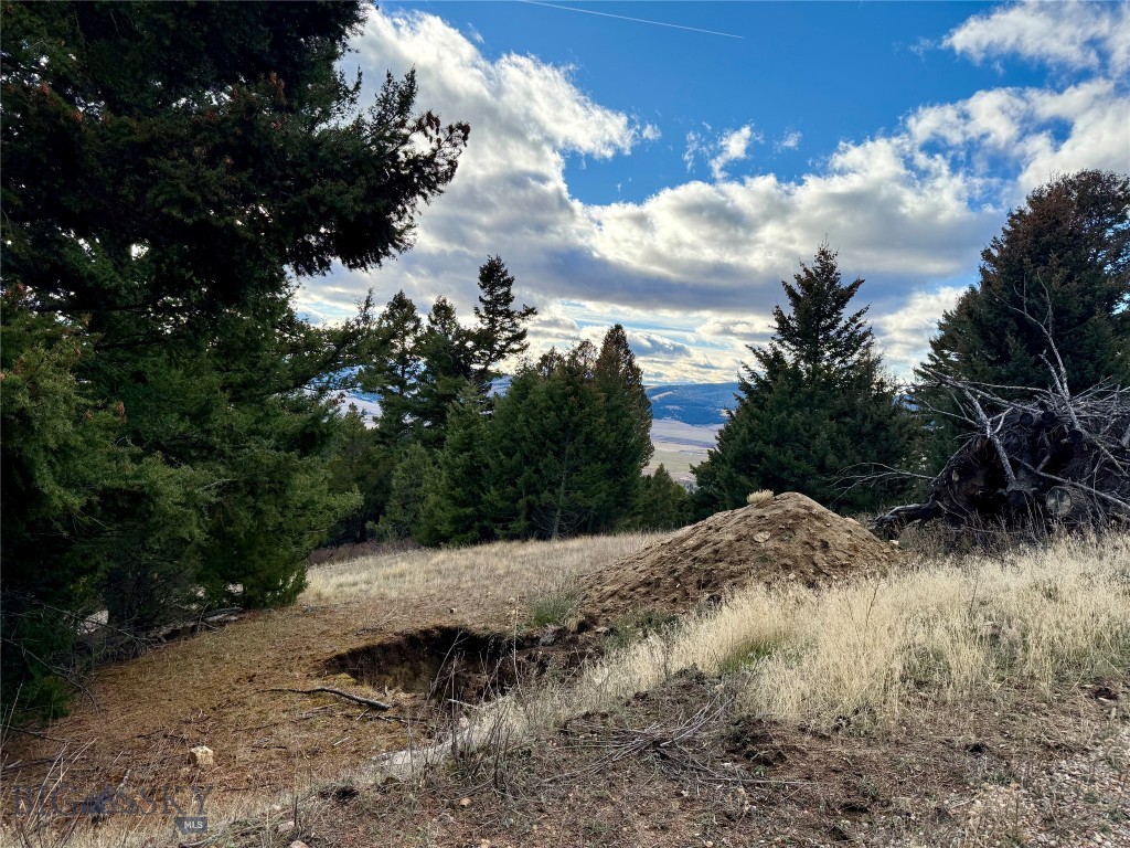 Lot 1 Scranton Lode Property Photo 5