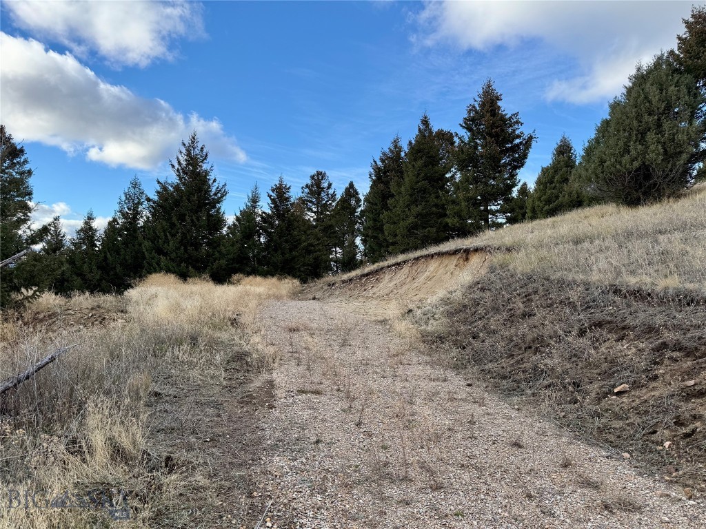 Lot 1 Scranton Lode Property Photo 6