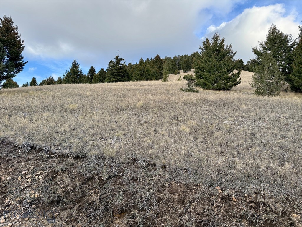 Lot 1 Scranton Lode Property Photo 7