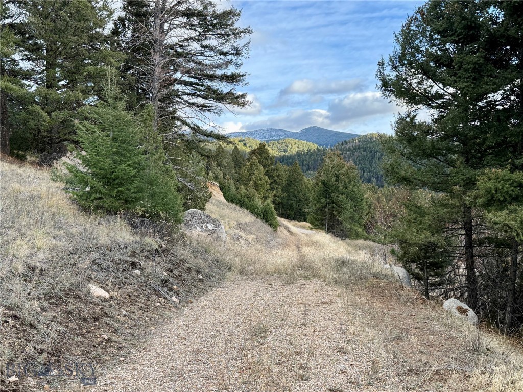 Lot 1 Scranton Lode Property Photo 8