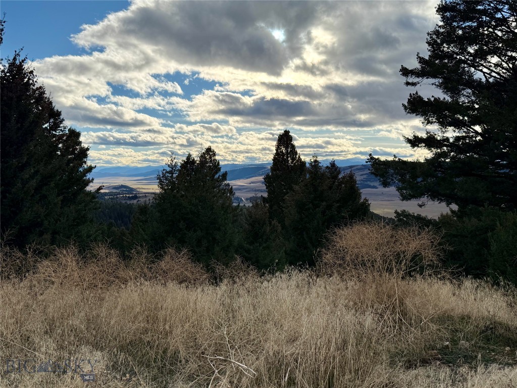 Lot 1 Scranton Lode Property Photo 9