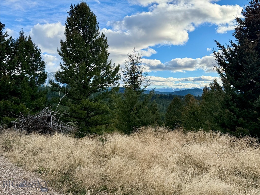 Lot 1 Scranton Lode Property Photo 10