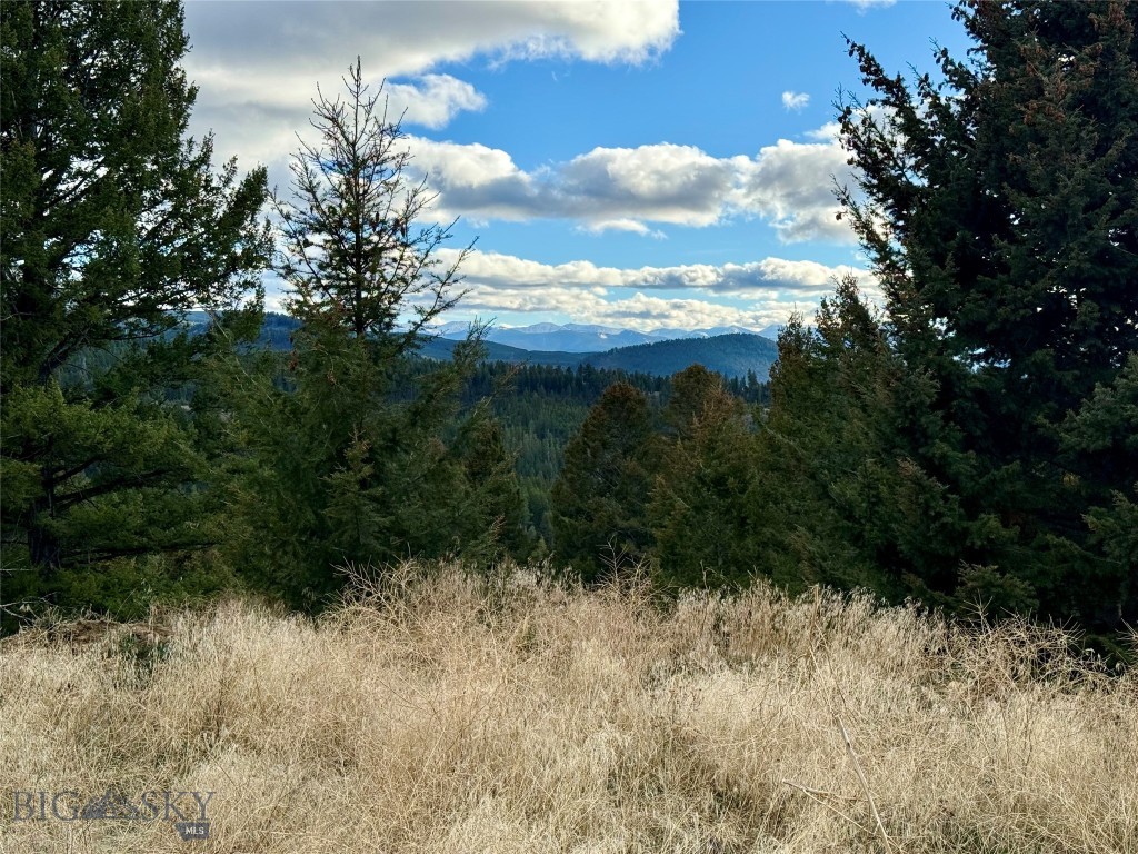 Lot 1 Scranton Lode Property Photo 11