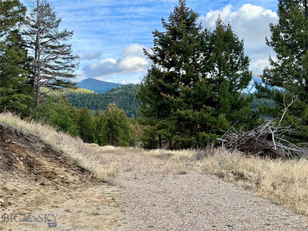 Lot 1 Scranton Lode Property Photo 13