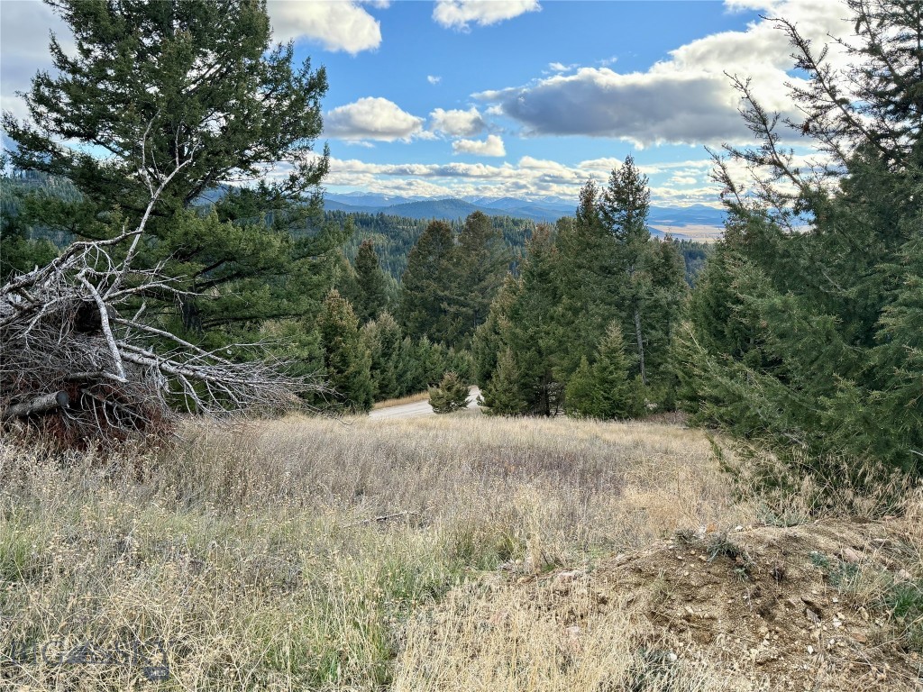 Lot 1 Scranton Lode Property Photo 14