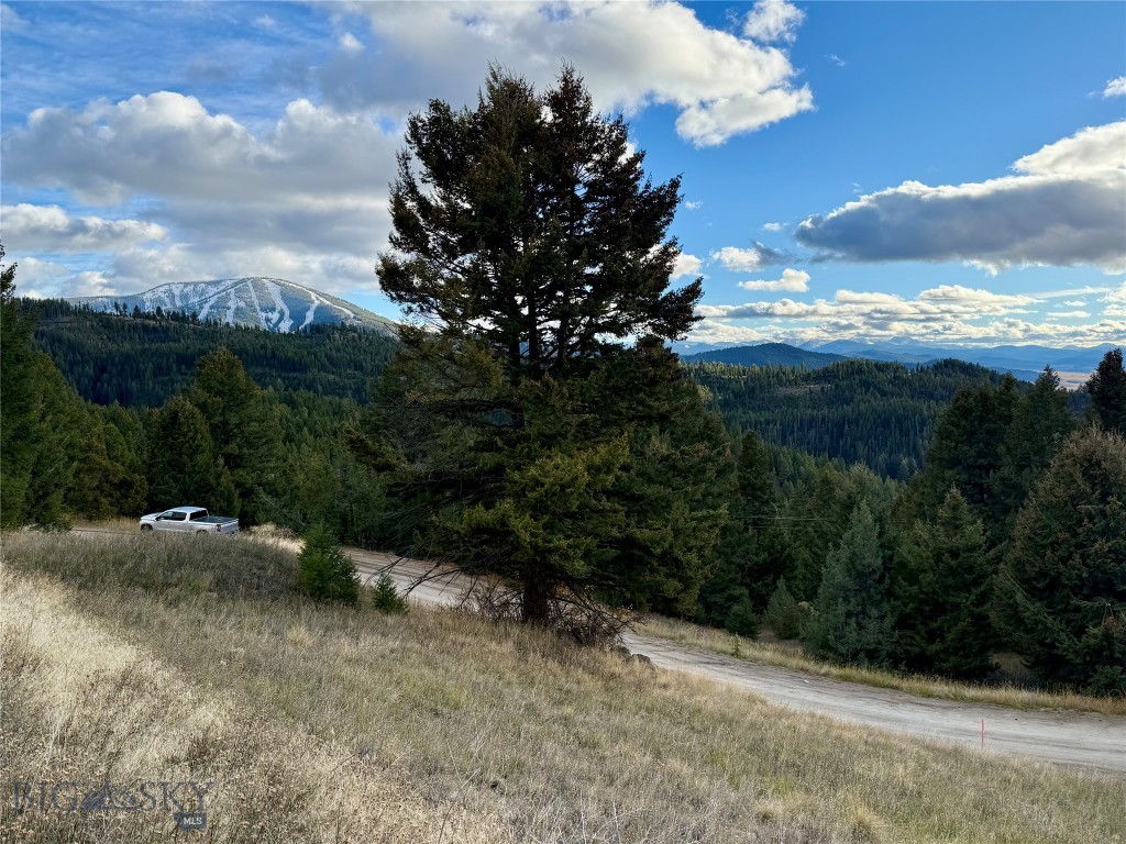 Lot 1 Scranton Lode Property Photo 17