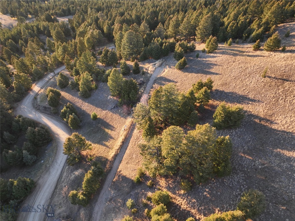 Lot 1 Scranton Lode Property Photo 18