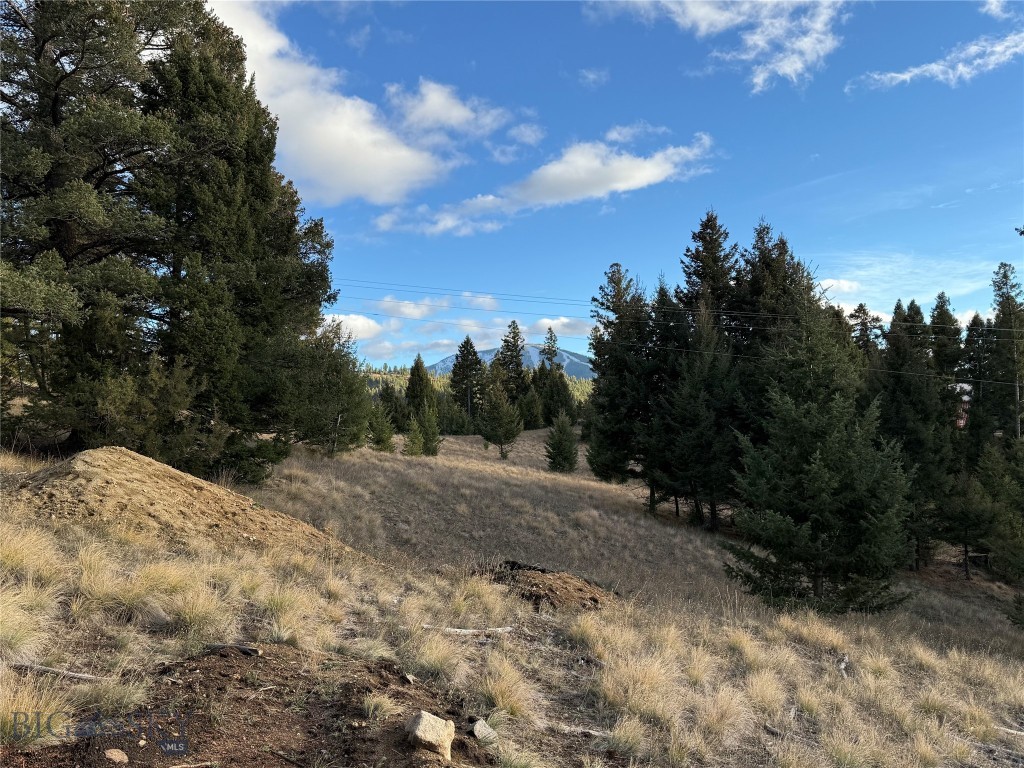 Lot 3 Scranton Lode Property Photo 1