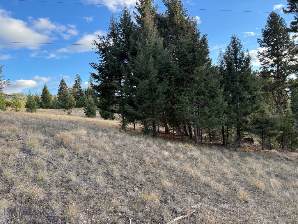 Lot 3 Scranton Lode Property Photo 2