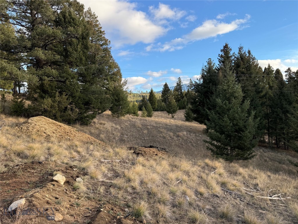 Lot 3 Scranton Lode Property Photo 3