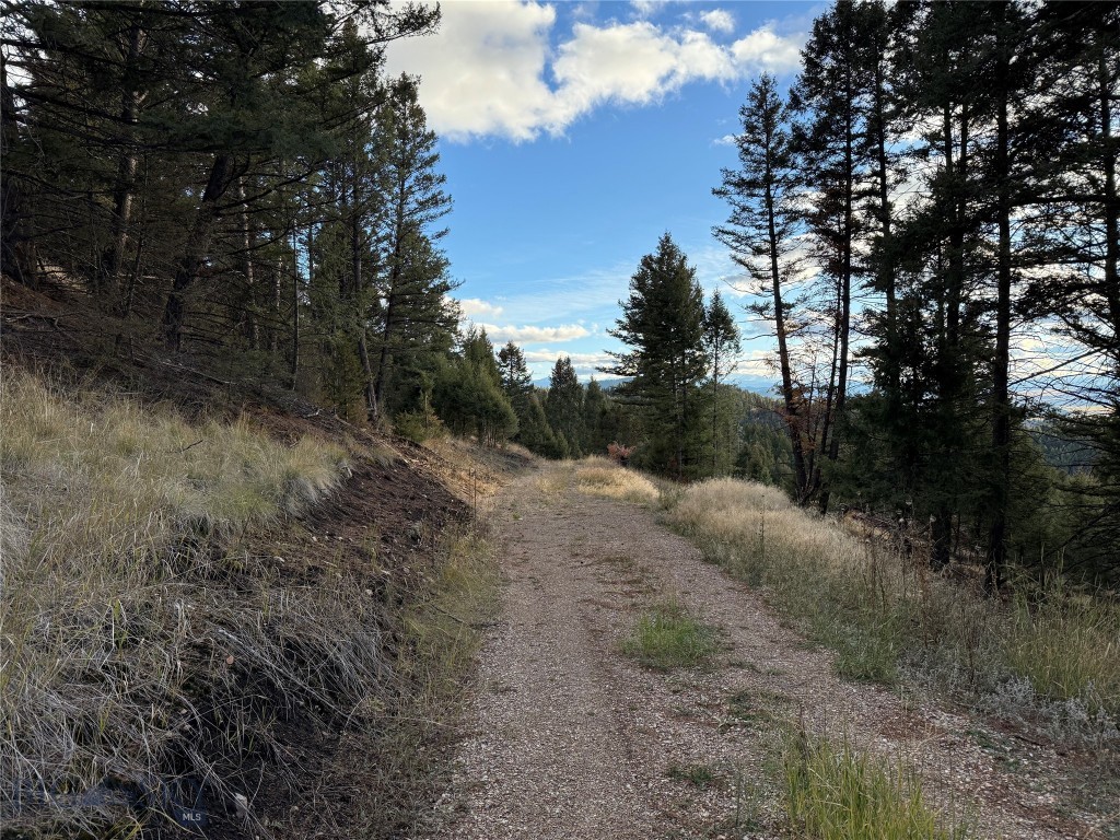 Lot 3 Scranton Lode Property Photo 10