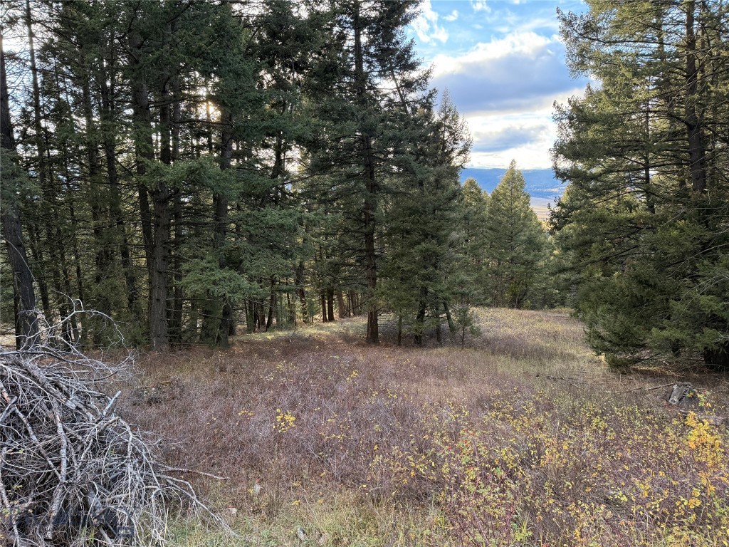 Lot 3 Scranton Lode Property Photo 11