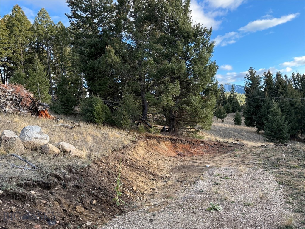 Lot 3 Scranton Lode Property Photo 18