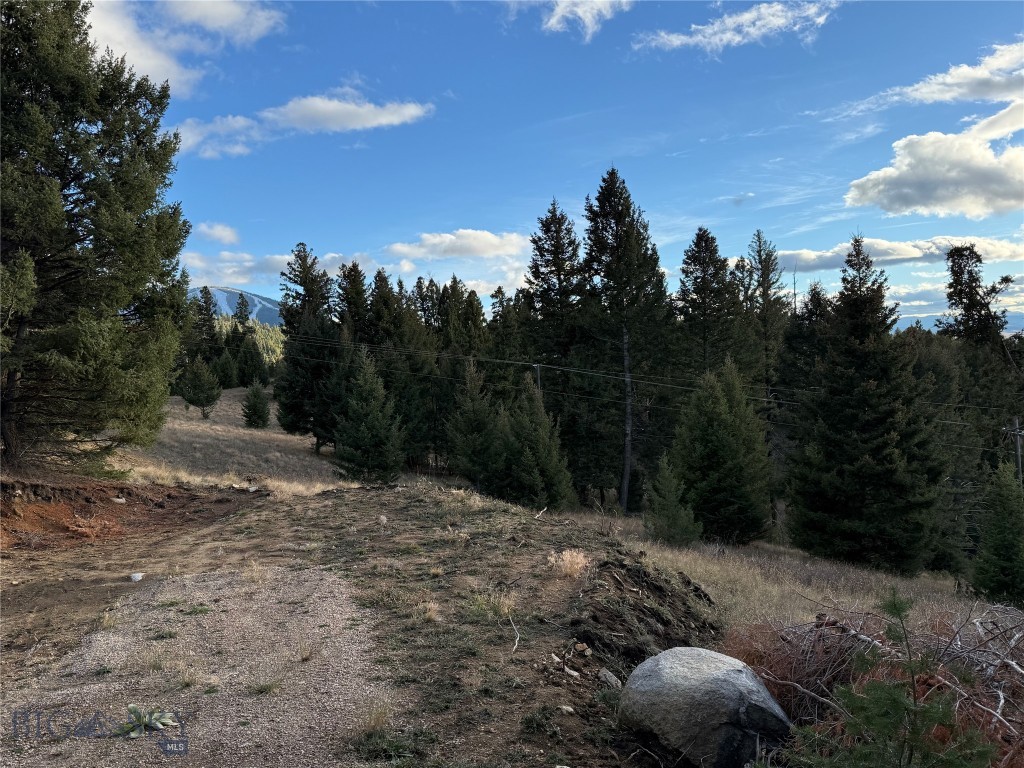 Lot 3 Scranton Lode Property Photo 19