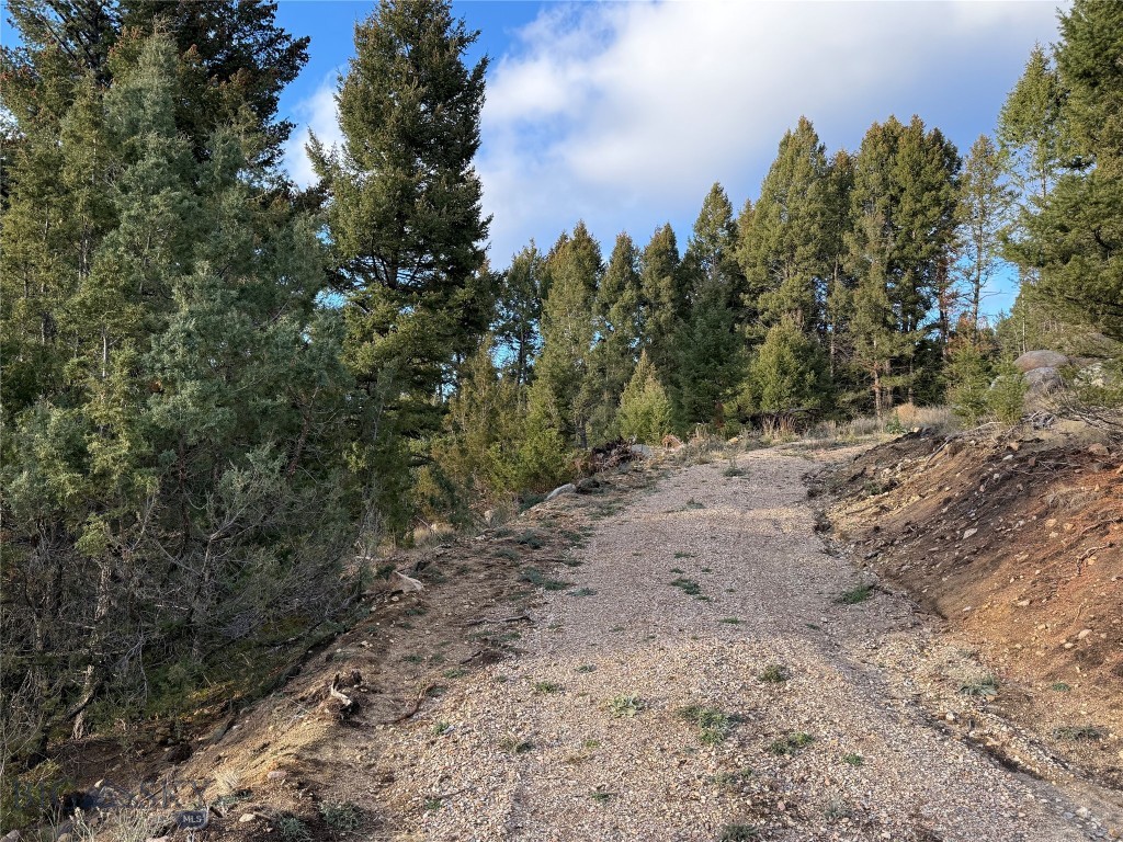 Lot 3 Scranton Lode Property Photo 20