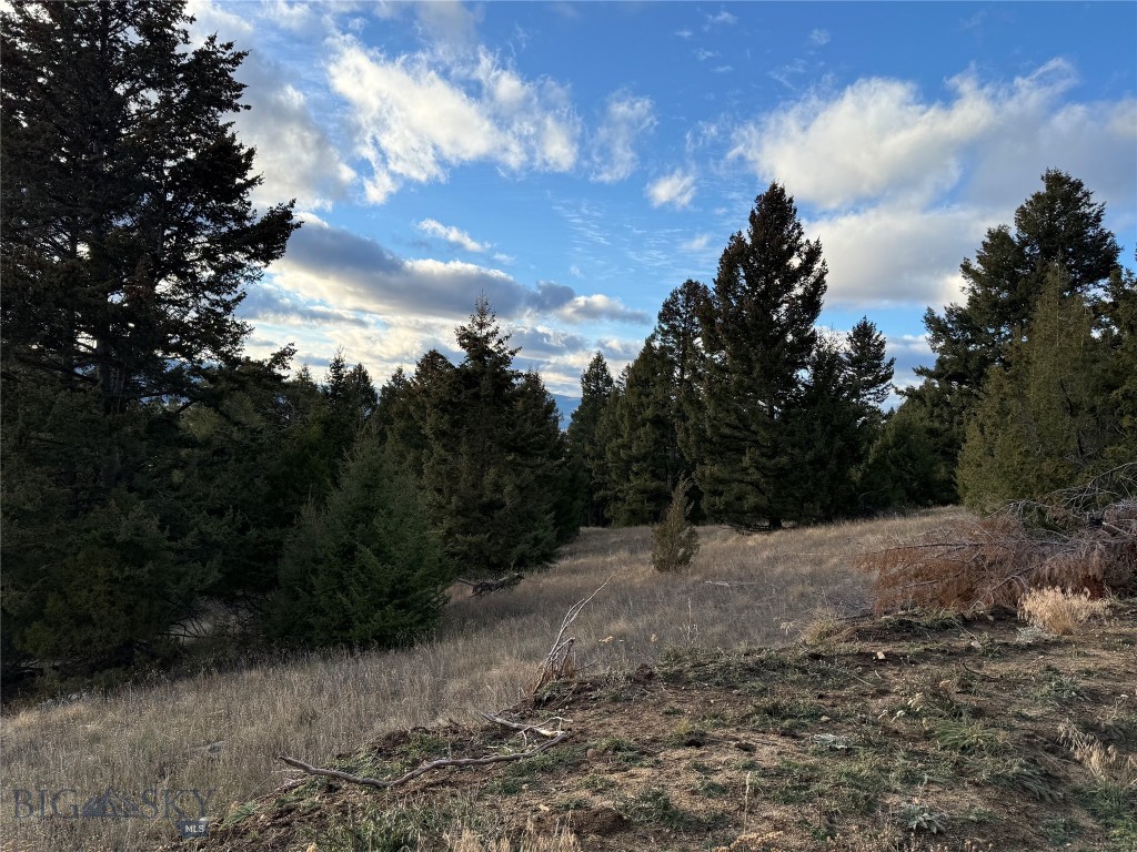 Lot 3 Scranton Lode Property Photo 21