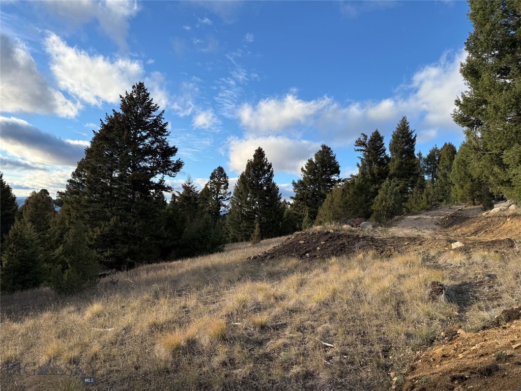 Lot 3 Scranton Lode Property Photo 23