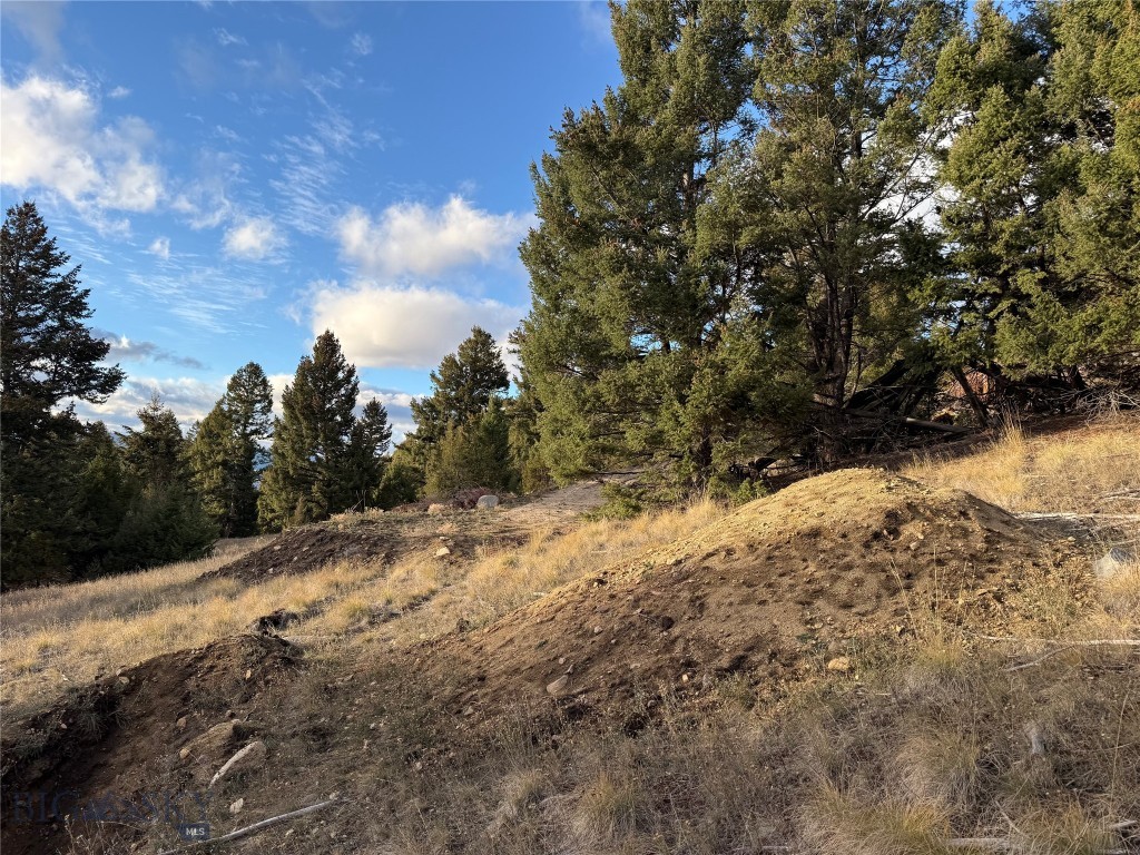 Lot 3 Scranton Lode Property Photo 24