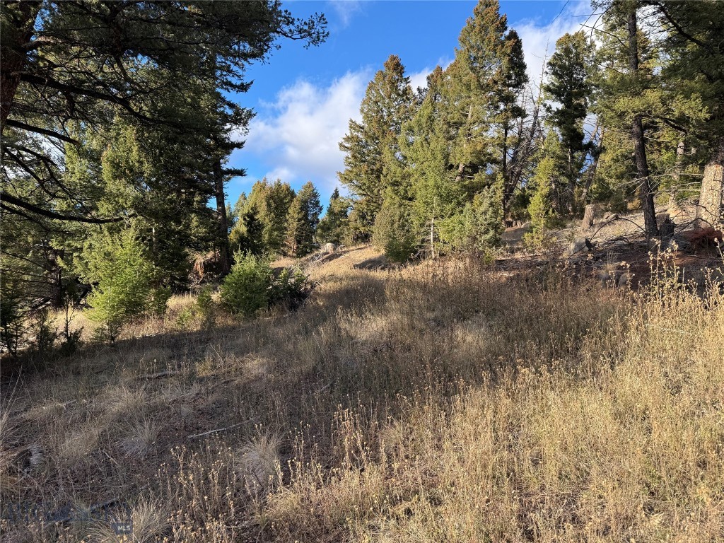 Lot 3 Scranton Lode Property Photo 25