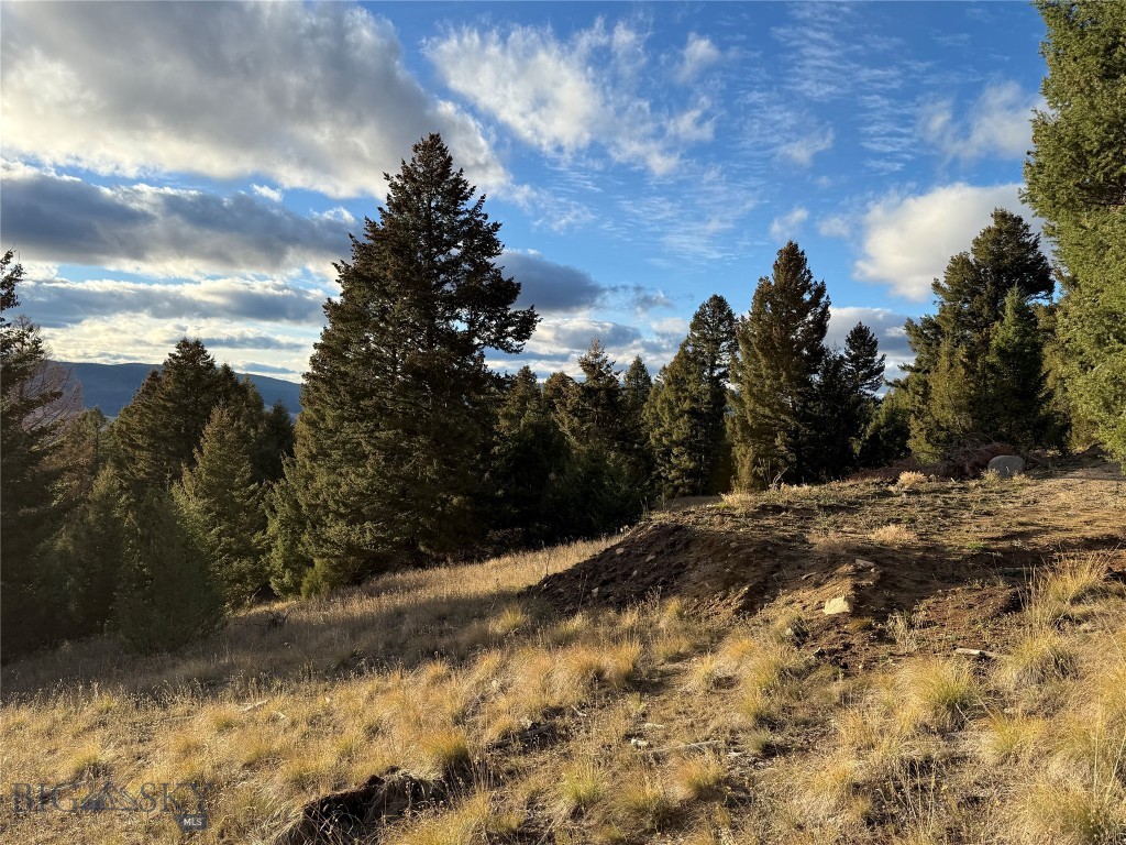 Lot 3 Scranton Lode Property Photo 26