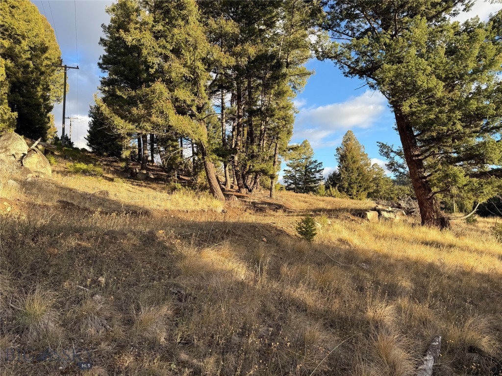 Lot 4 Scranton Lode Property Photo 9