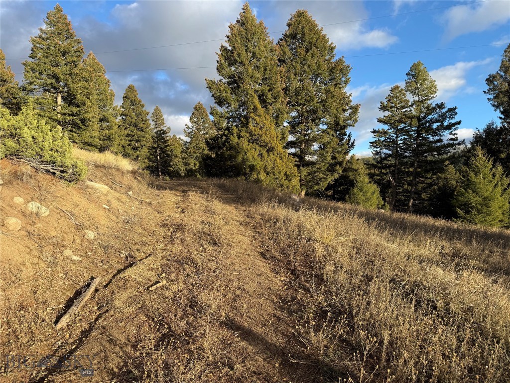 Lot 4 Scranton Lode Property Photo 11