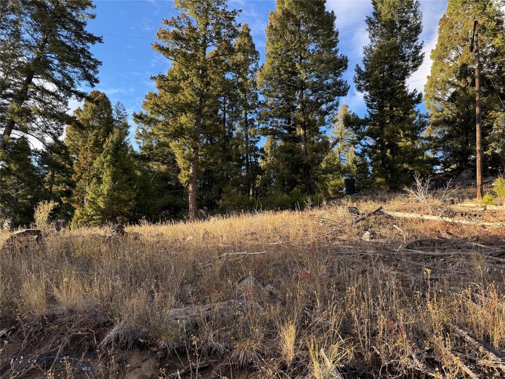 Lot 4 Scranton Lode Property Photo 13