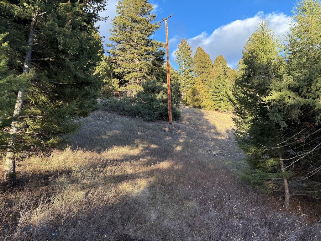Lot 4 Scranton Lode Property Photo 18