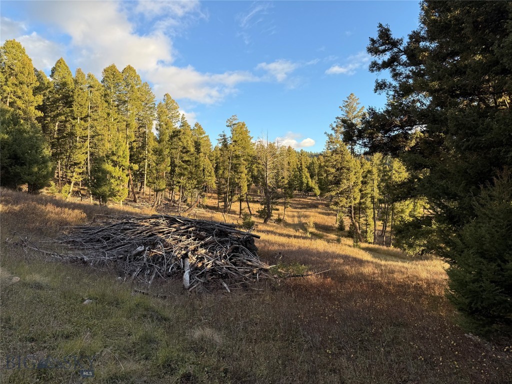 Lot 4 Scranton Lode Property Photo 19