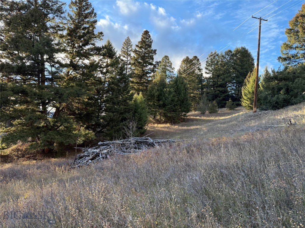 Lot 4 Scranton Lode Property Photo 22