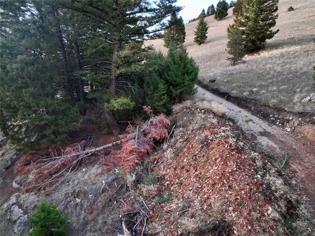 Lot 4 Scranton Lode Property Photo 24