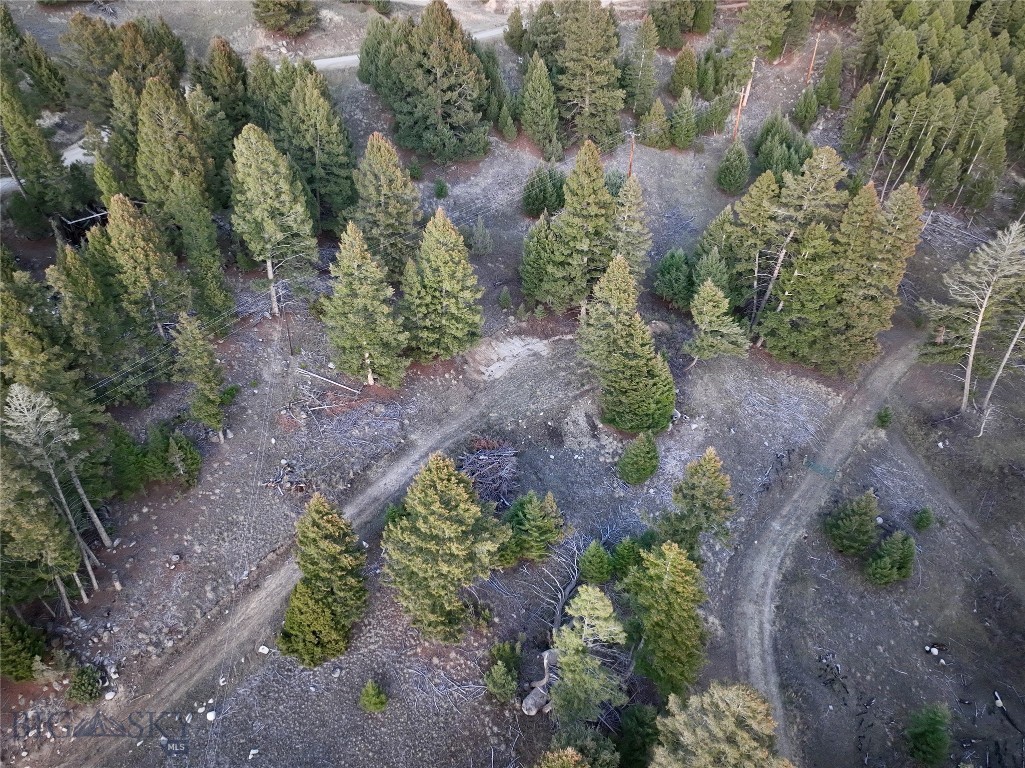 Lot 4 Scranton Lode Property Photo 27