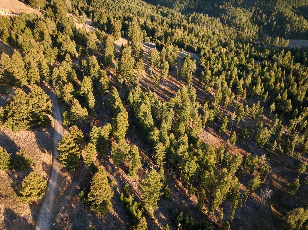 Lot 5 Scranton Lode Property Photo 6