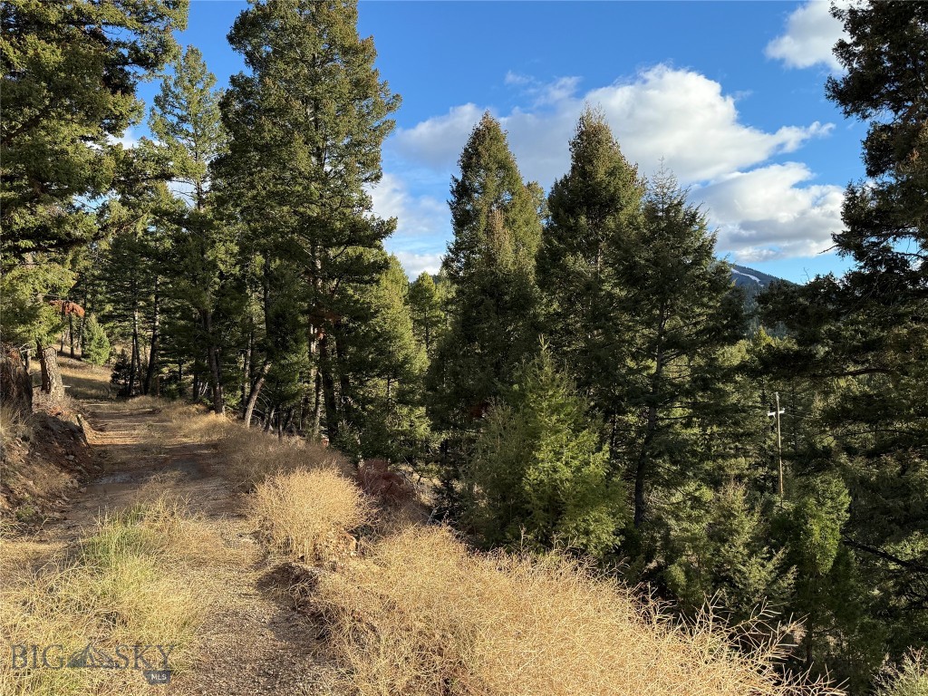 Lot 5 Scranton Lode Property Photo 10