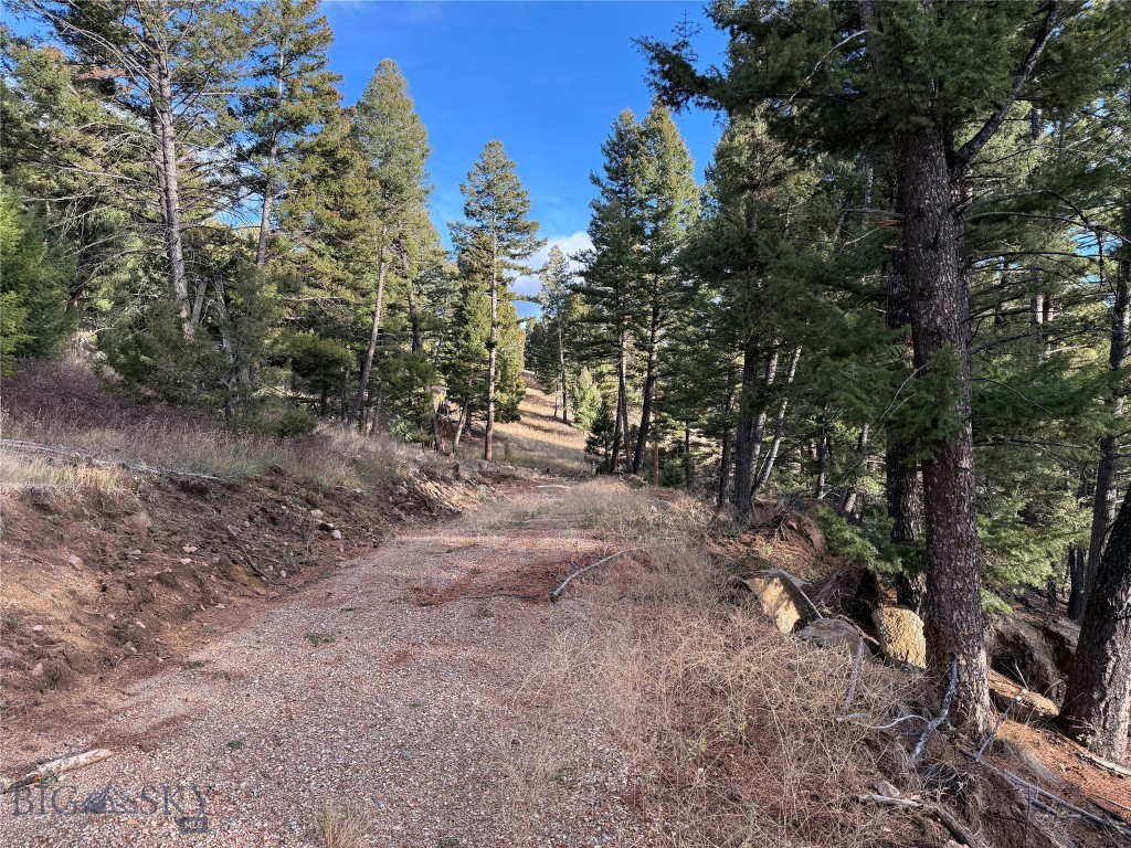 Lot 5 Scranton Lode Property Photo 13