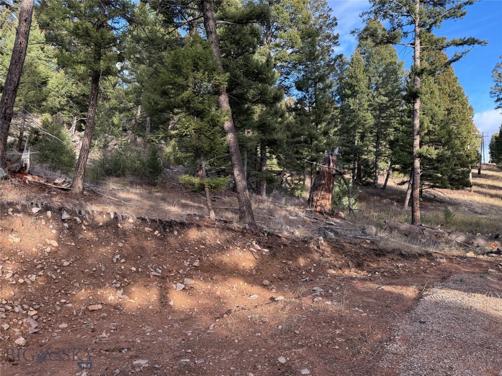 Lot 5 Scranton Lode Property Photo 15