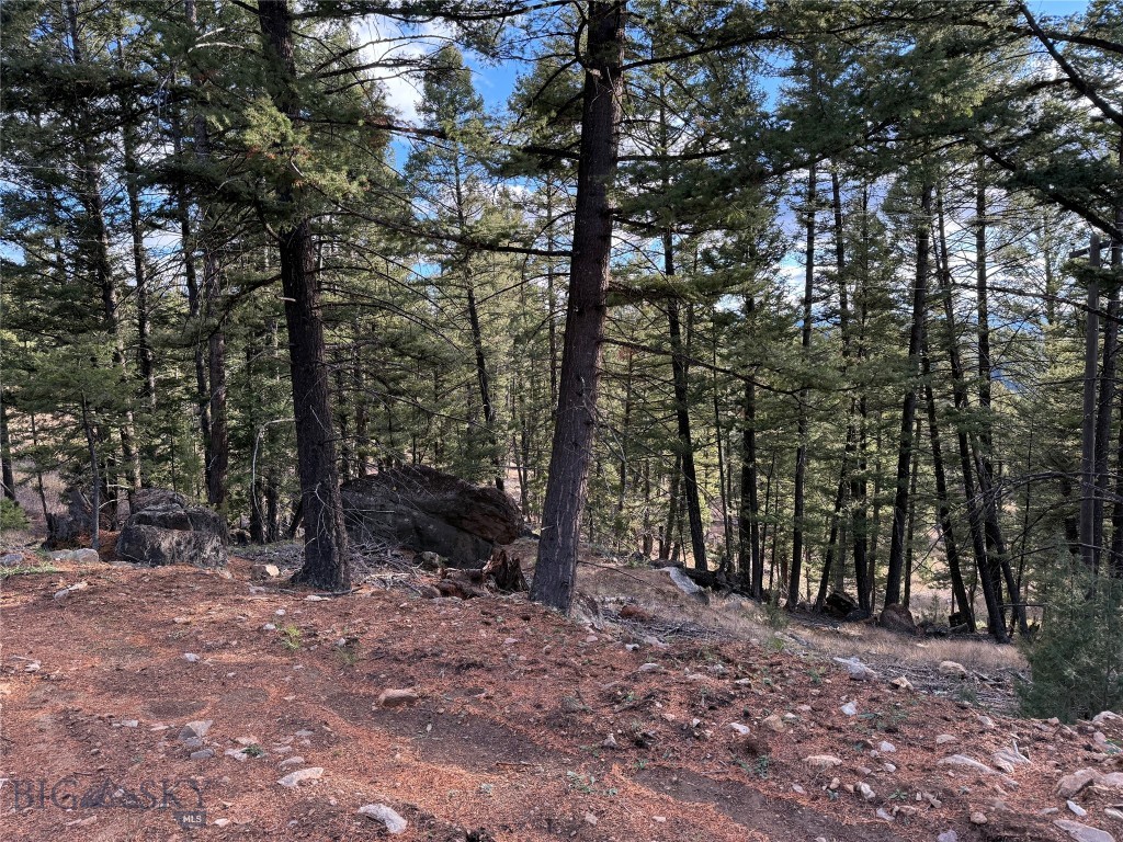 Lot 5 Scranton Lode Property Photo 16